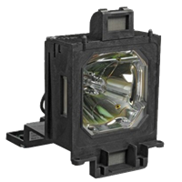 EIKI LC-WGC500 Lamp with housing