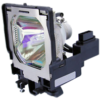 EIKI LC-XT5 Lamp with housing