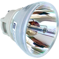 OPTOMA HD29HSTx Lamp without housing