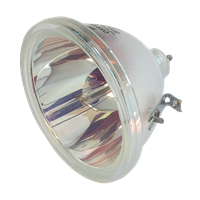 PHILIPS LC4600B Lamp without housing